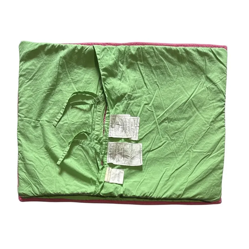 Pottery Barn Kids Pillow Sham Pink Green Paisley Quilted 2 Standard Reversible